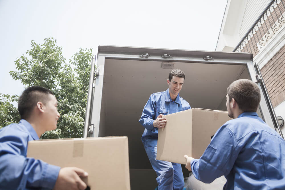 Expert Moving Services in Florida