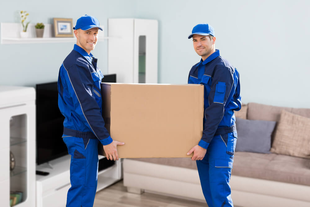 Top Moving Solutions in Michigan